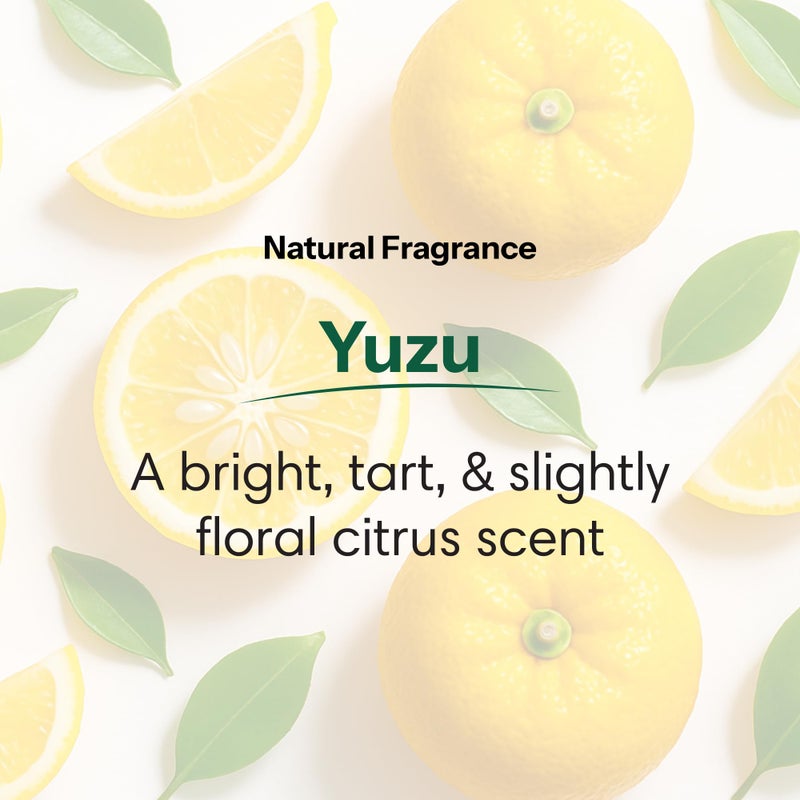 ShiKai Daily Moisturizing Shower Gel (Yuzu, 12oz, Pack of 3) | Gentle Formula | Aloe Vera & Oatmeal for Soft, Healthy Skin | Dry Skin Relief - Image 3