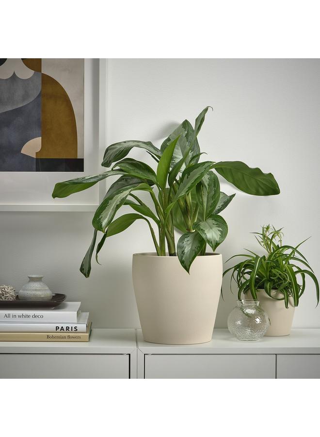 Zaboon Plant pot, light beige, 19 cm - Image 3