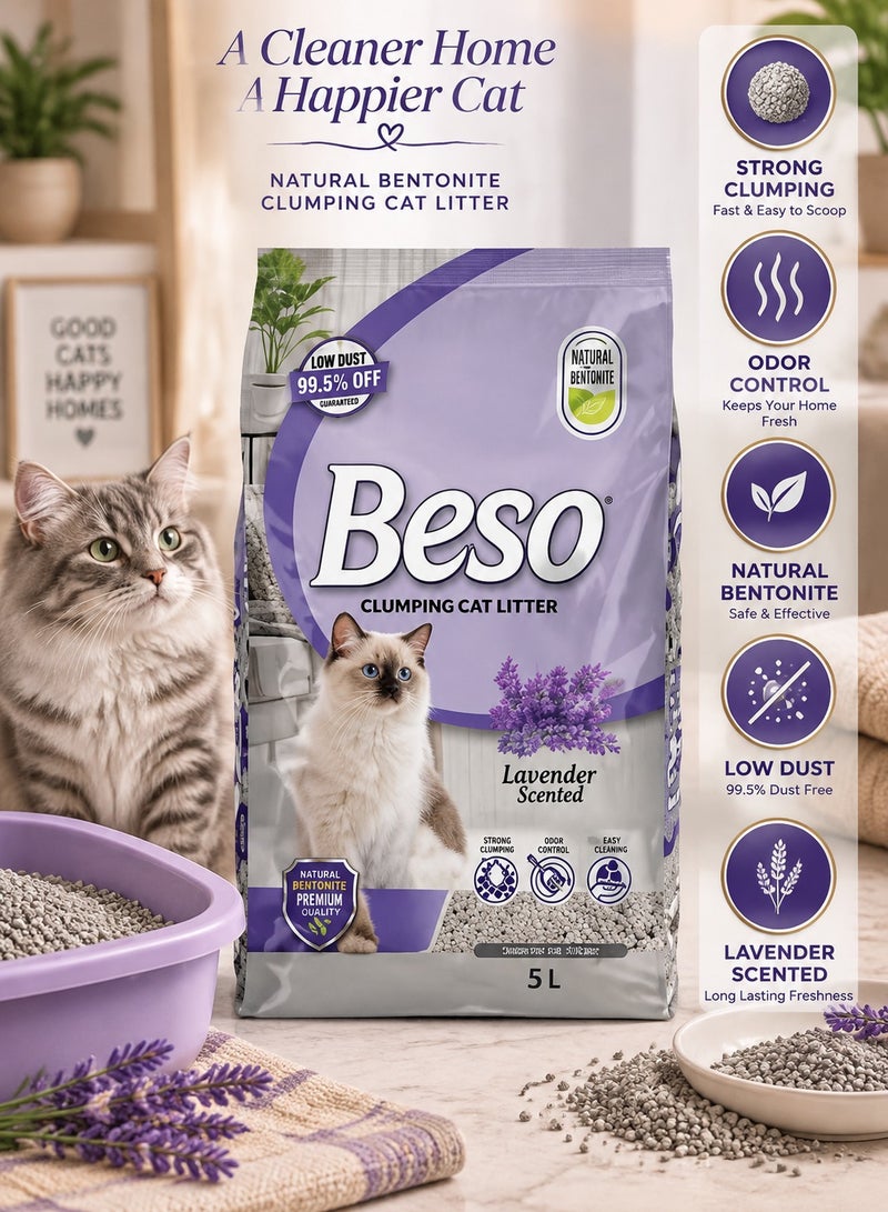 Cat Litter Beso Natural Bentonite Clumping Cat Litter 5L, Lavender Scented, Strong Fast Clumping, Odor Control, 99.5% Dust-Free, Highly Absorbent Kitty Litter