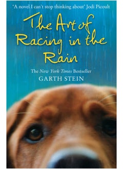 The Art of Racing in the Rain