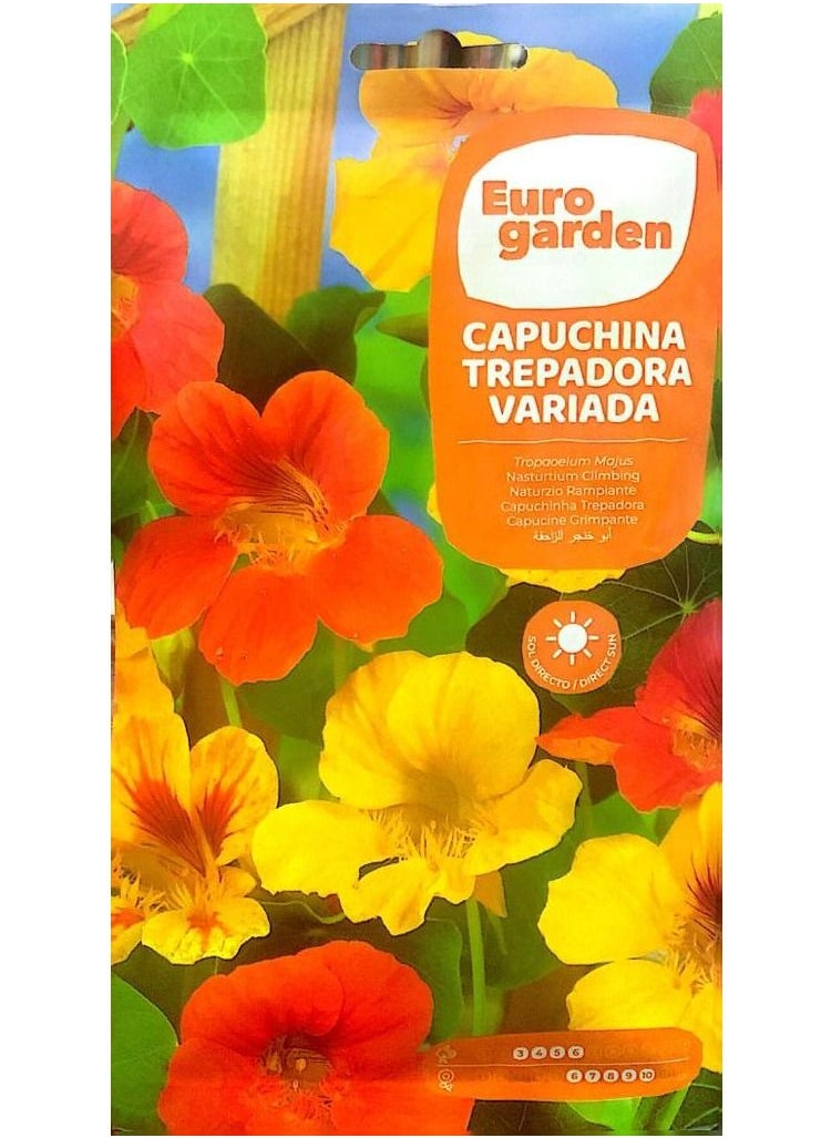 Euro Garden - CAPUCHINA TREPADORA VARIADA SEEDS - Image 1