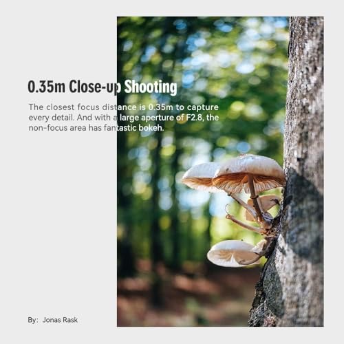 TTArtisan عدسة TTartisan 27mm F2.8 بتركيز تلقائي، متوافقة مع كاميرات فوجي X-Mount XS10 X-A5 X-A7 X-M1 X-M2 X-E4 X-T1 X-T10 X-T2 X-T20 X-T3 X-T4 X-T100 X-T200 X-T30 X-Pro1 X-Pro2 X-Pro3 X-E1 (فضي) - Image 5