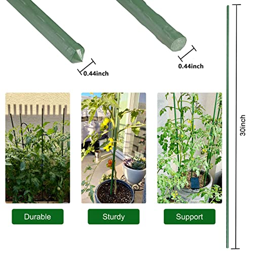 Garmeinea Garden Stakes 30 Inches Plastic Coated Steel Plant Stakes for Growing Climbing Plants, Pack of 25 - Image 2