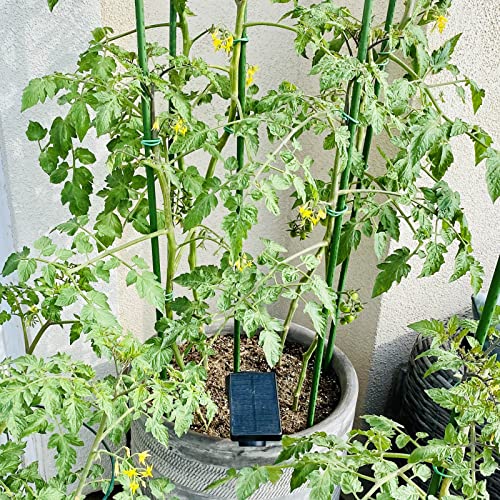 Garmeinea Garden Stakes 30 Inches Plastic Coated Steel Plant Stakes for Growing Climbing Plants, Pack of 25 - Image 4