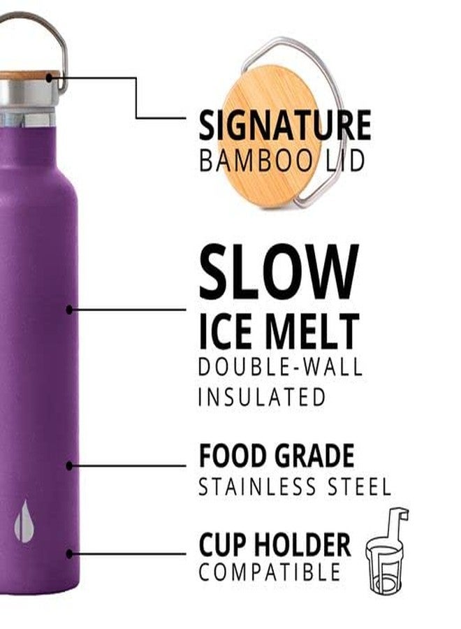 إليمنتال زجاجة مياه إليمينتال كلاسيك من الفولاذ المقاوم للصدأ - زجاجة مياه معزولة بجدار مزدوج مانعة للتسرب سعة 25 أونصة، مثالية للسفر، والنادي الرياضي، والرياضة، والترطيب - زجاجات مياه ترمس بغطاء من الخيزران - لون برقوقي - Image 4