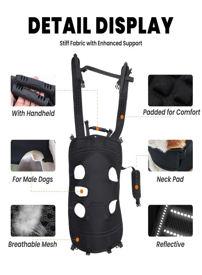 Terapaton Dog Lift Harness Backpack Carrier for Large Dogs, Full Body Sling with Handle, Dog Harness for Joint Injuries, Arthritis, Ideal for Stairs, Elderly Dogs (Black 2XL 50-66 LBS) - Image 2