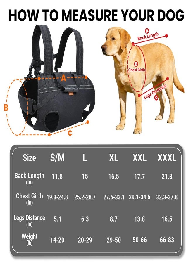 Terapaton Dog Lift Harness Backpack Carrier for Large Dogs, Full Body Sling with Handle, Dog Harness for Joint Injuries, Arthritis, Ideal for Stairs, Elderly Dogs (Black 2XL 50-66 LBS) - Image 3