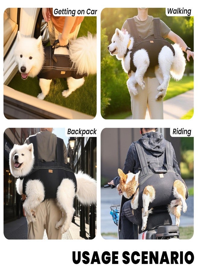 Terapaton Dog Lift Harness Backpack Carrier for Large Dogs, Full Body Sling with Handle, Dog Harness for Joint Injuries, Arthritis, Ideal for Stairs, Elderly Dogs (Black 2XL 50-66 LBS) - Image 4