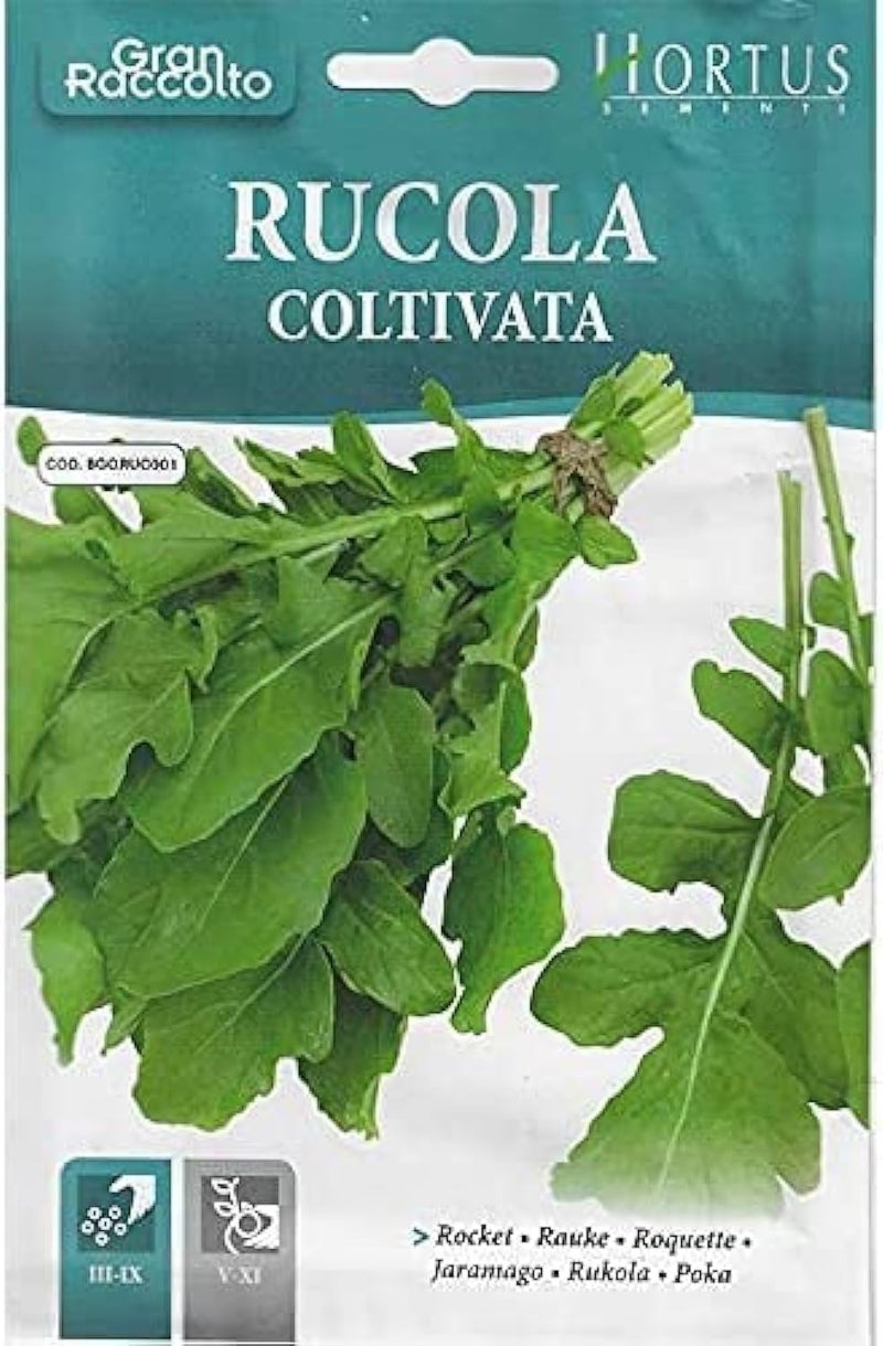 Hortus Rocket (Rucola Coltivata) Premium Quality Seeds - Made in Italy - Image 1