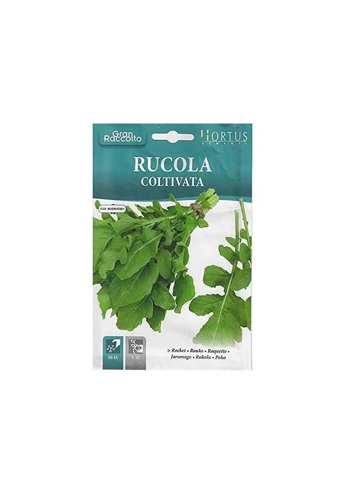 Hortus Rocket (Rucola Coltivata) Premium Quality Seeds - Made in Italy - Image 2