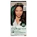 Clairol Root TouchUp by Natural Instincts Permanent Hair Dye 4 Dark Brown Hair Color Naturally Blended Roots with 100 Gray Coverage Vegan Ammonia Free Formula Pack of 1 - Image 2