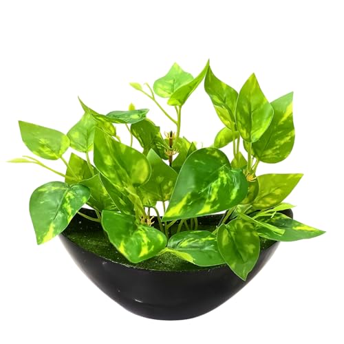 fancymart Artificial Money Plant Leaves with Boat Pot for Home Décor - Image 1