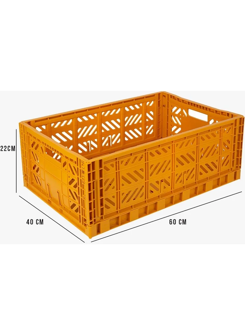 Ayyıldız Aykasa 604022 Maxibox Mustard Foldable Case