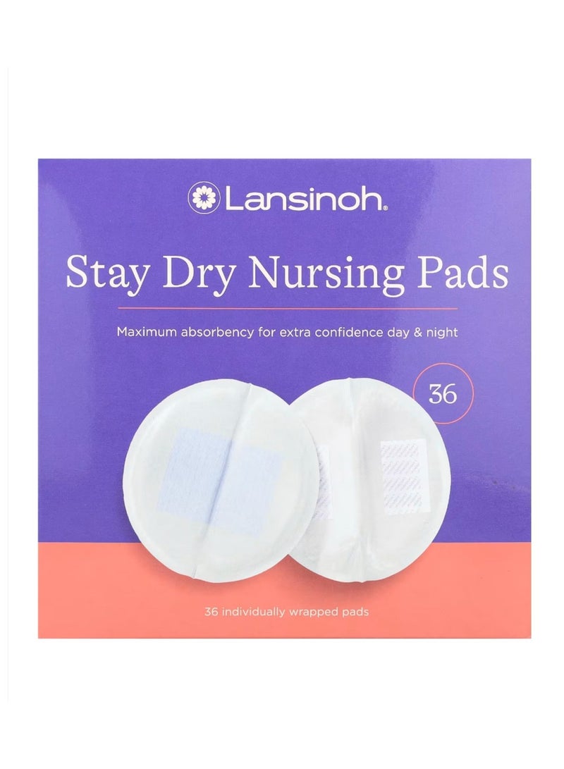 وسادات الرضاعة ستاي دراي 36 وسادة مغلفة بشكل فردي - Image 1