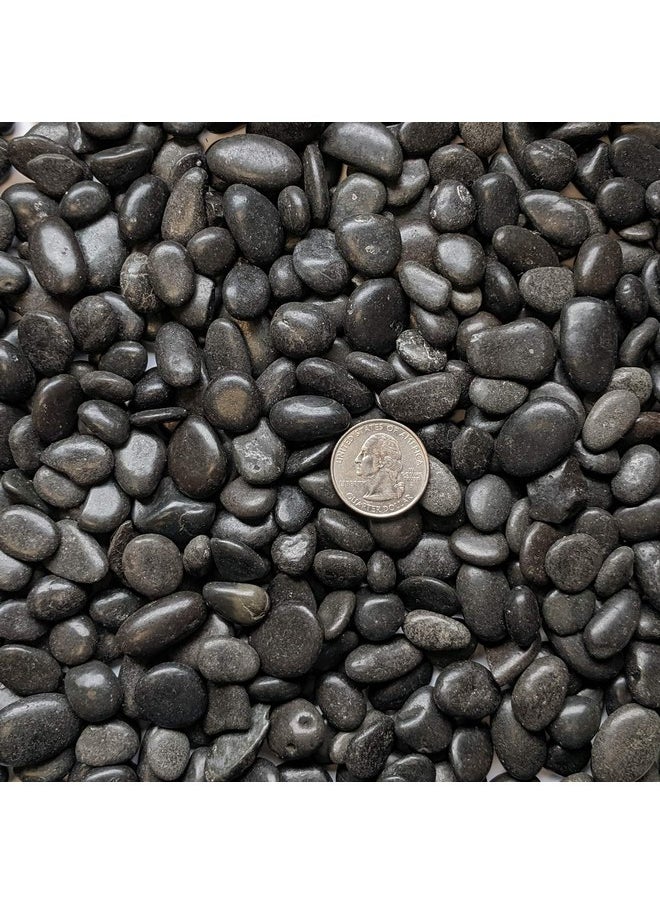 Midwest Hearth - Midwest Hearth Natural Decorative Polished Black Pebbles 3/8" Gravel Size (2-lb Bag) - Image 1