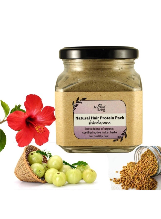 Ancient Living Natural Hair Protein Pack For Healthy Strong Hair - 100 gm - Image 2