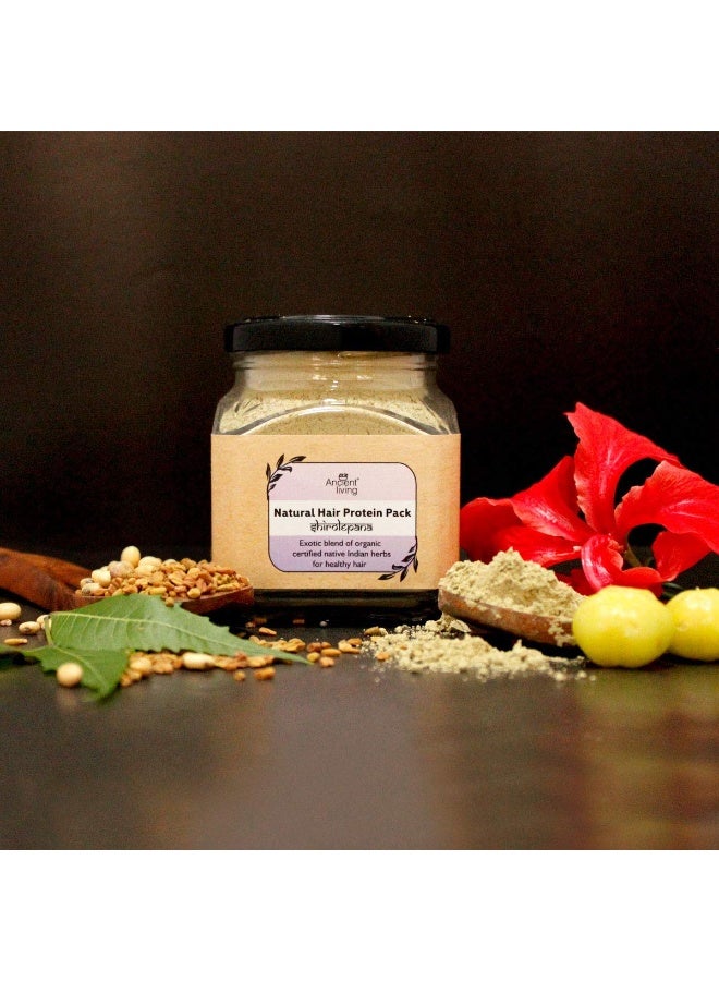 Ancient Living Natural Hair Protein Pack For Healthy Strong Hair - 100 gm - Image 3