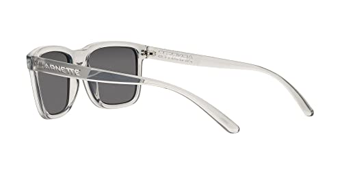ARNETTE Sunglasses AN 4321 2858Z3 Lebowl Transparent Grey Polar - Image 5