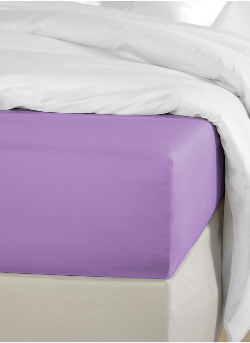 Single Plain Fitted Sheet with 1 Pillow Case 90 x 190 Cm Lavender - pzsku/Z929CC77958442C3AD869Z/45/_/1726138583/f8fbb049-2390-427e-85cc-3352ec52be26