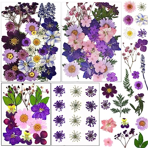 LUCISKY 92 Pcs Purple Dried Pressed Flowers Real Natural Leave Petals for DIY Resin Candle Jewelry Nail Crafts - Image 1