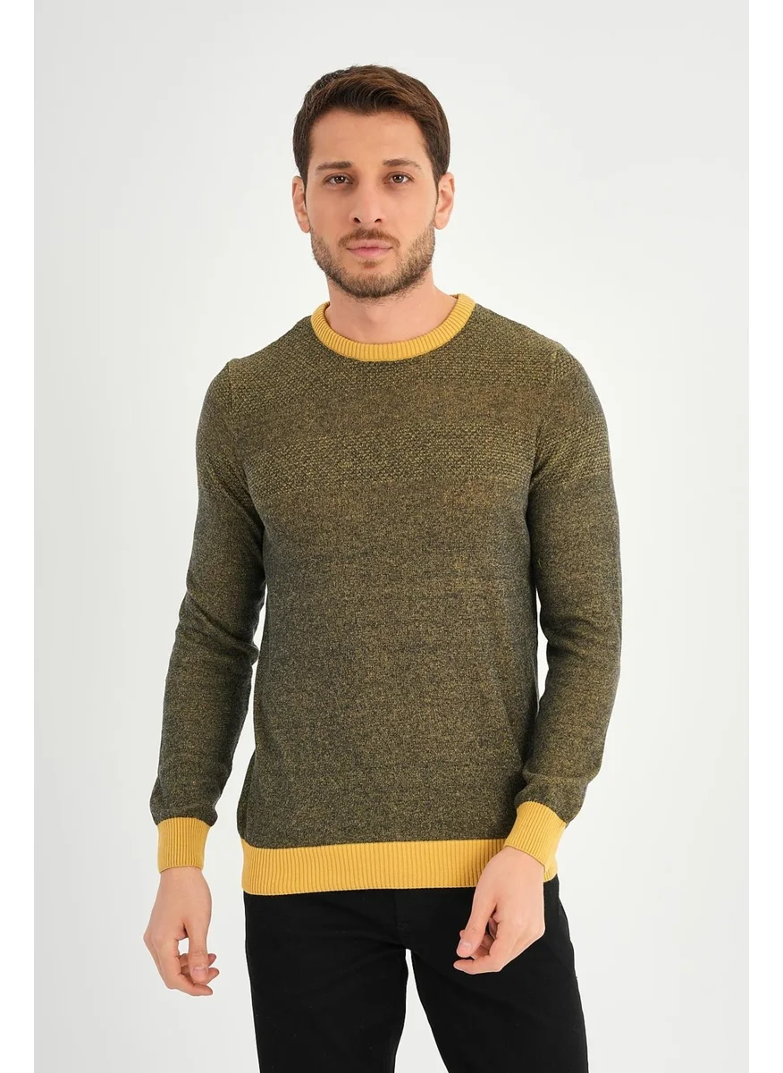 Alexander Gardi Crew Neck Regular Fit Casual Sweater