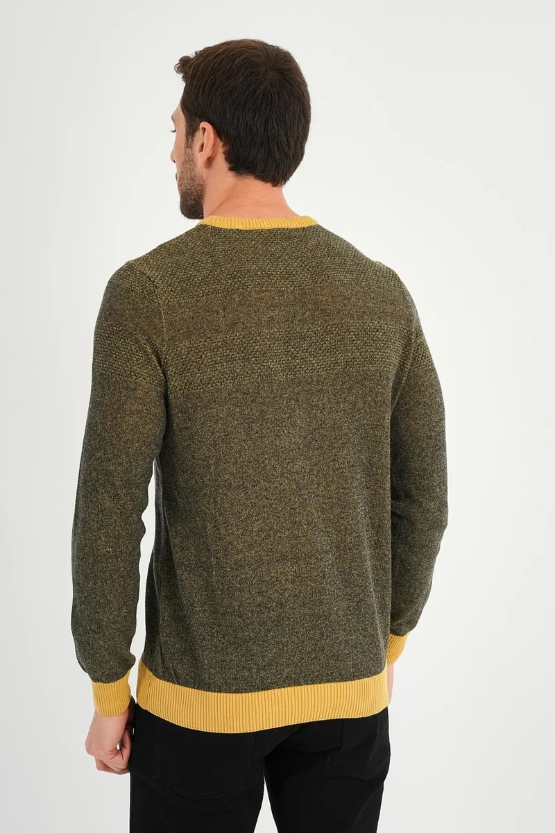 Alexander Gardi Crew Neck Regular Fit Casual Sweater