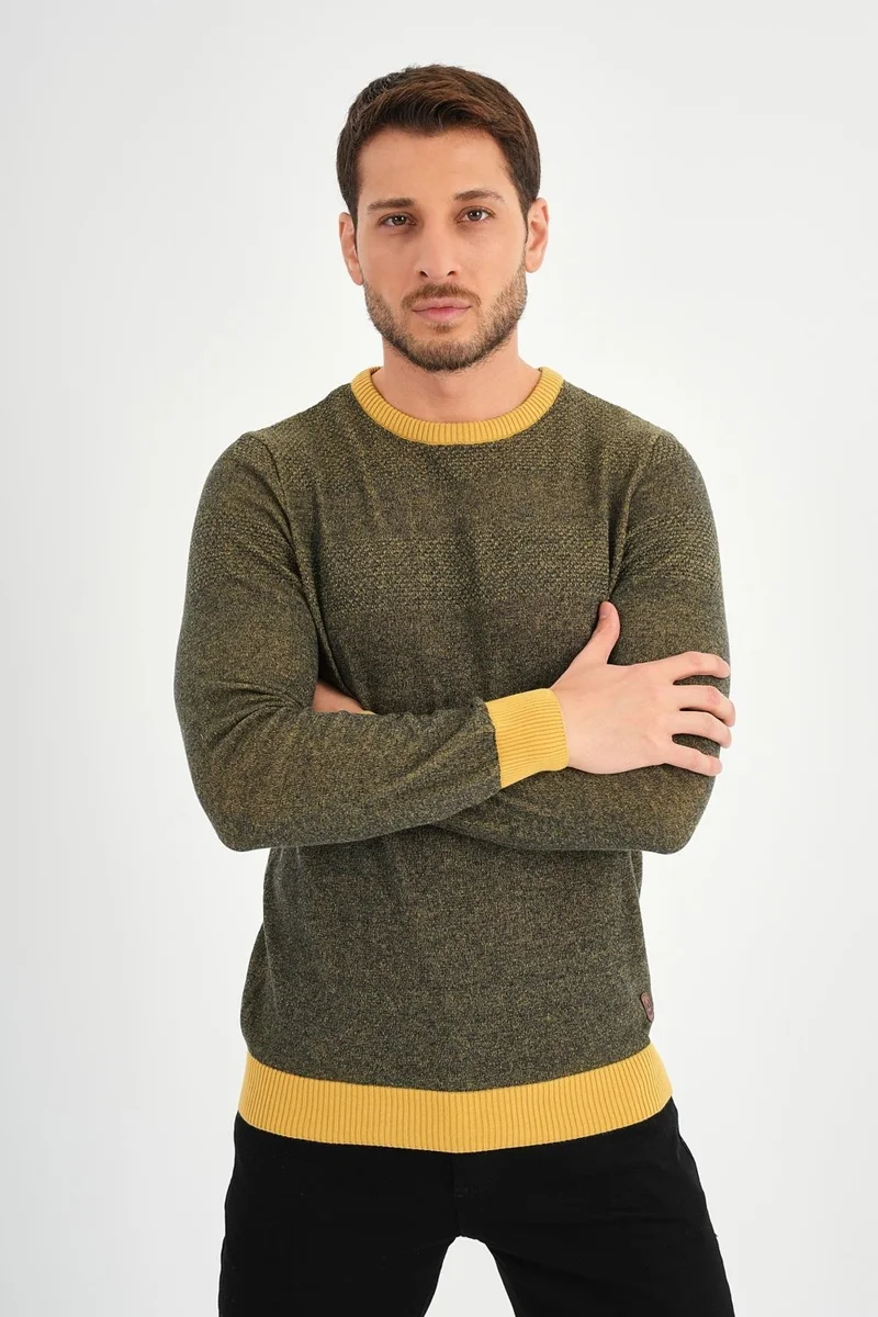 Alexander Gardi Crew Neck Regular Fit Casual Sweater
