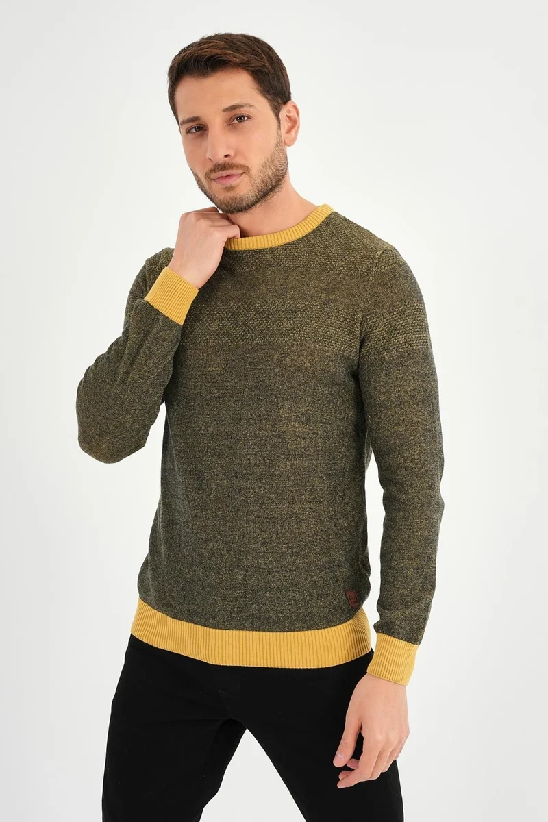 Alexander Gardi Crew Neck Regular Fit Casual Sweater