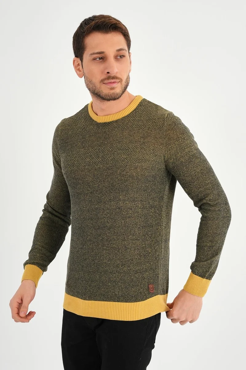 Alexander Gardi Crew Neck Regular Fit Casual Sweater
