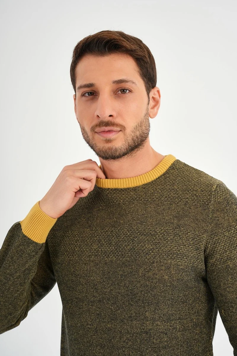 Alexander Gardi Crew Neck Regular Fit Casual Sweater