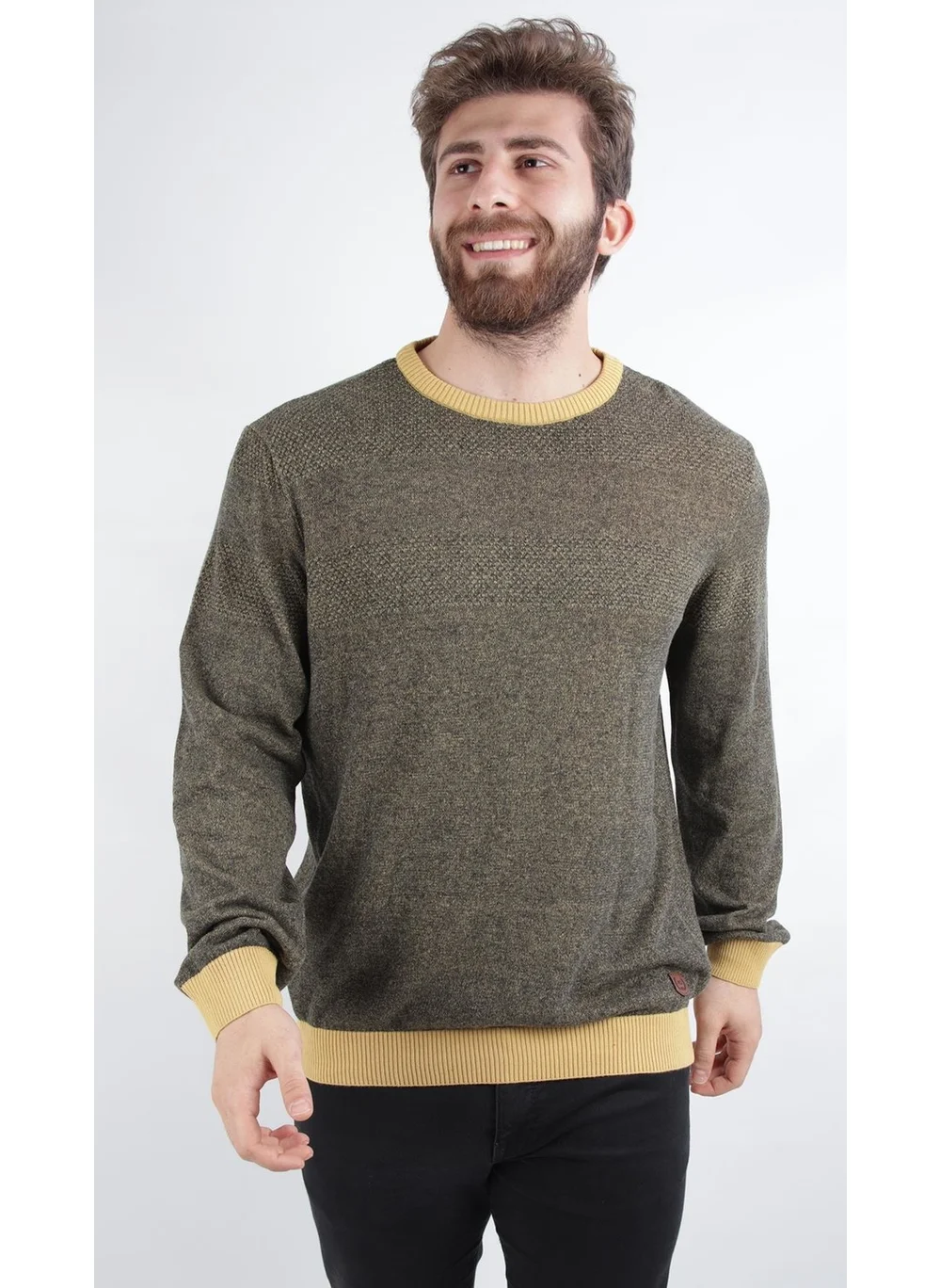 Alexander Gardi Crew Neck Regular Fit Casual Sweater