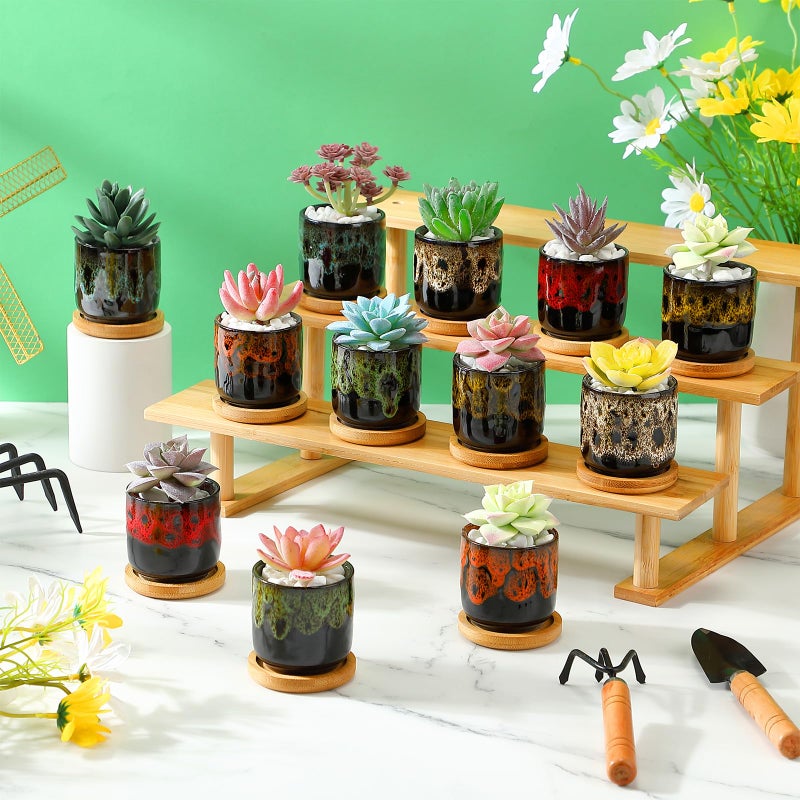 Rimcereal 12 Pcs Succulent Pots 2.5 Inch Mini Ceramic Succulent Garden Flower Pots Planters With Drainage And Bamboo Tray For Indoor Garden Plants Planters Colorful Flower Pot(Cylindrical 2.3 Inch H) - Image 4