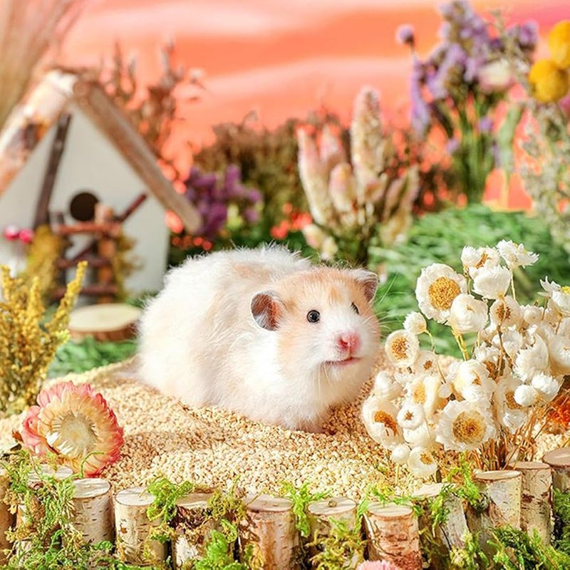 فراش الأرنب الأزرق من القشور المجففة للزهور للحيوانات الأليفة الصغيرة مثل اليرابيع والهامستر - تحكم فعال في الروائح - Image 4