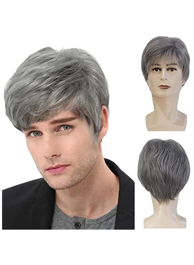 general Short Straight Male Wig Silver Gray Synthetic Wigs Side Part Heat Resistant Fiber Hair Wig For Men - Image 2