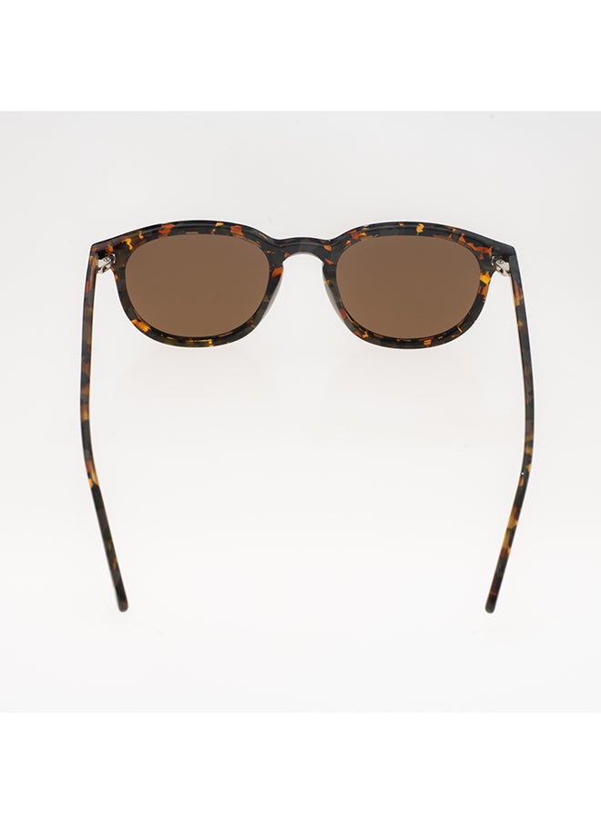 Benetton Men's Clubmaster Sunglasses - BE5059 - Lens Size: 50 Mm  - Image 3