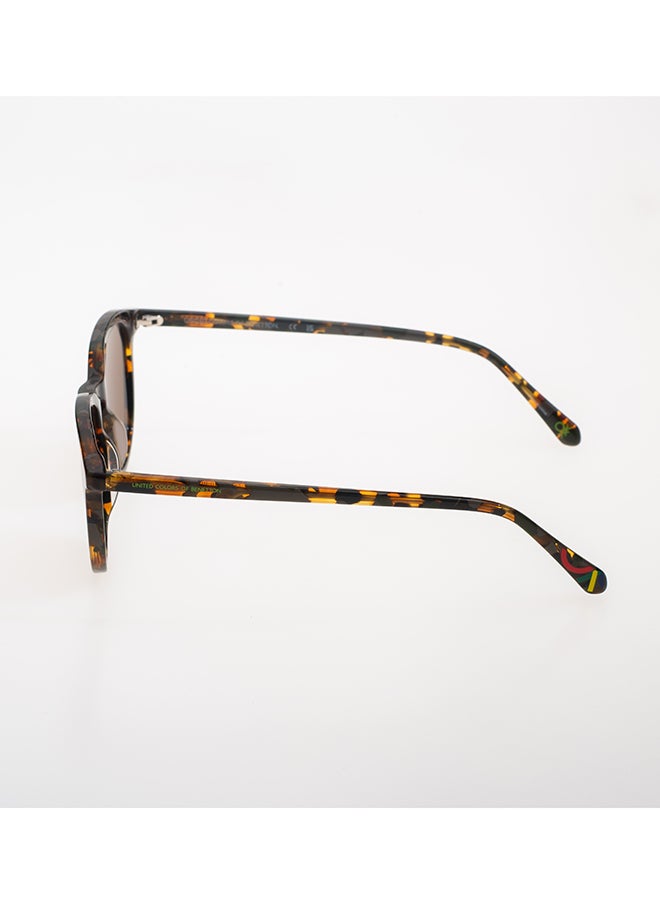 Benetton Men's Clubmaster Sunglasses - BE5059 - Lens Size: 50 Mm  - Image 4