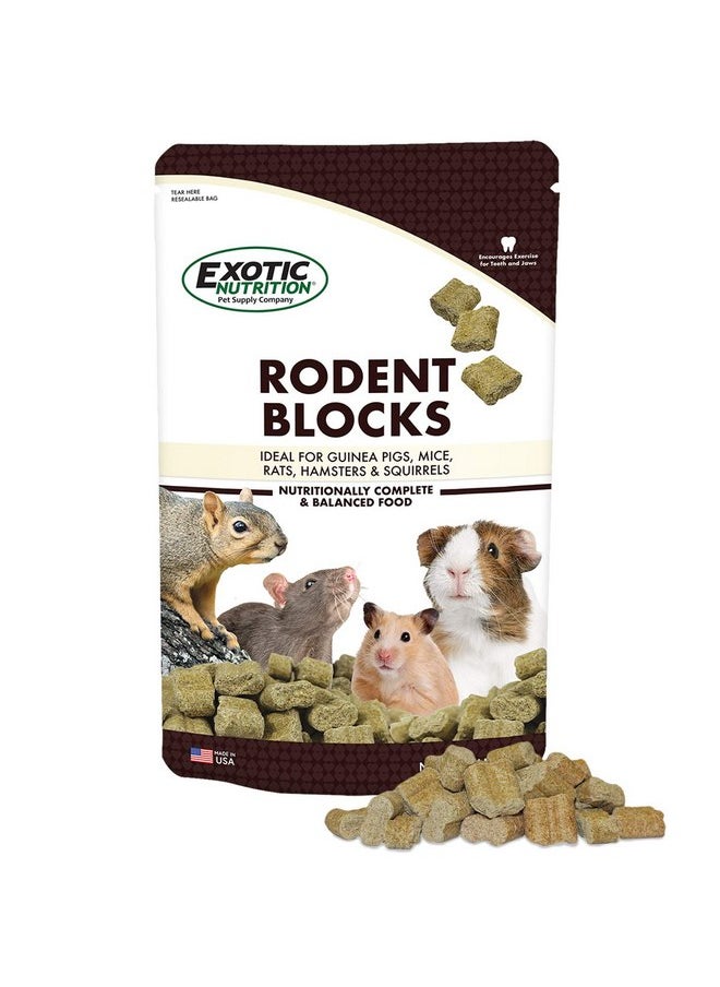 EXOTIC NUTRITION Rodent Blocks - Nutritional Rodent Food - for Rats, Mice, Squirrels, Degus (3 lb.)  - Image 1