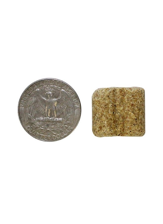 EXOTIC NUTRITION Rodent Blocks - Nutritional Rodent Food - for Rats, Mice, Squirrels, Degus (3 lb.)  - Image 4