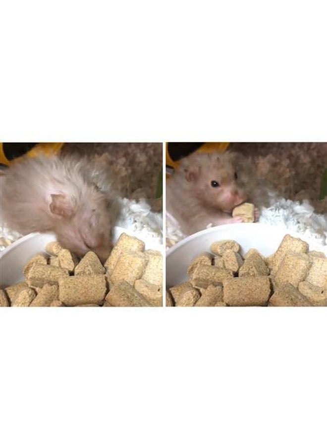 EXOTIC NUTRITION Rodent Blocks - Nutritional Rodent Food - for Rats, Mice, Squirrels, Degus (3 lb.)  - Image 5