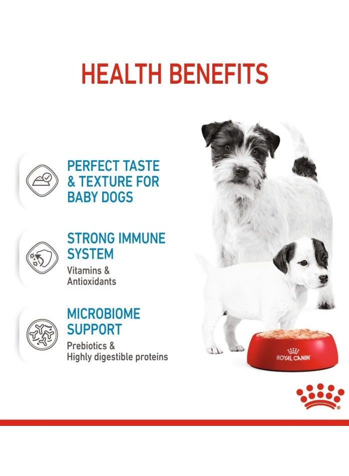 رويال كانين موس صحي للكلاب (طعام رطب - علب) 12 × 195 غ - Image 3