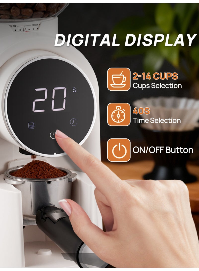 Brutelle Burr Coffee Grinder Electric Coffee Grinder Adjustable Burr Mill with 25 Precision Grind Settings with Time Display and Countdown Display White 150W - Image 4