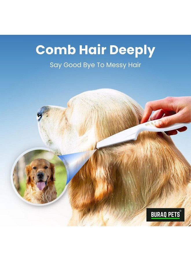 BURAQ Pets Proffesional 2 In 1 Dog Nail Cutter With Nail Filer & Flea Comb, Claw Grooming Tool Set For Small, Medium, And Large Dogs, Puppies, Cats & Kittens (Nail Cutter + Flea Comb) - Image 4