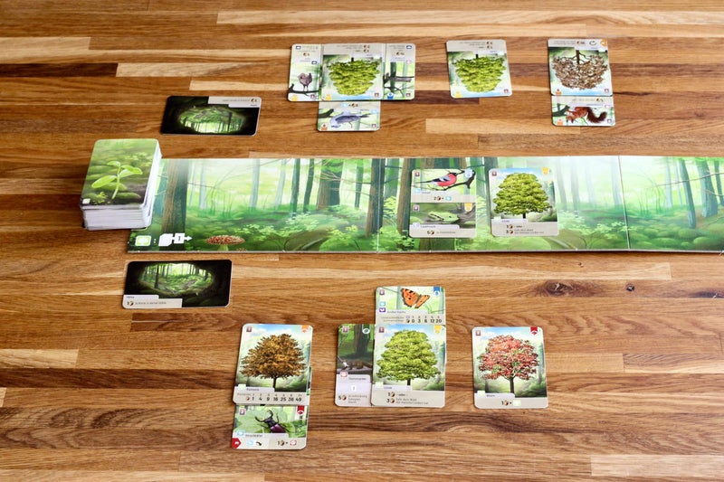 Lookout Forest Shuffle Card Game - Create an Ecological Paradise! Clever Strategy Game for Kids & Adults, Ages 10+, 2-5 Players, 60 Min Playtime, ECO-FRIENDLY PACKAGING, Made by Lookout Games - Image 3