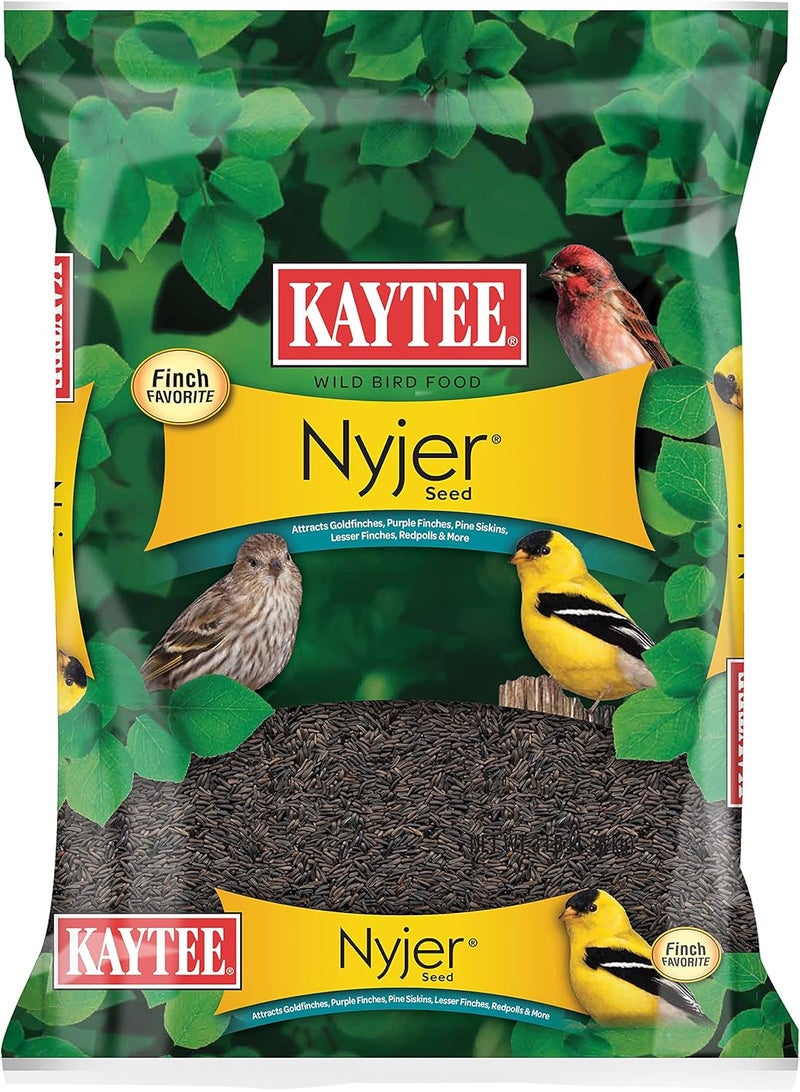 Kaytee Nyjer Wild Bird Food Seed, 3 Pound - Image 1