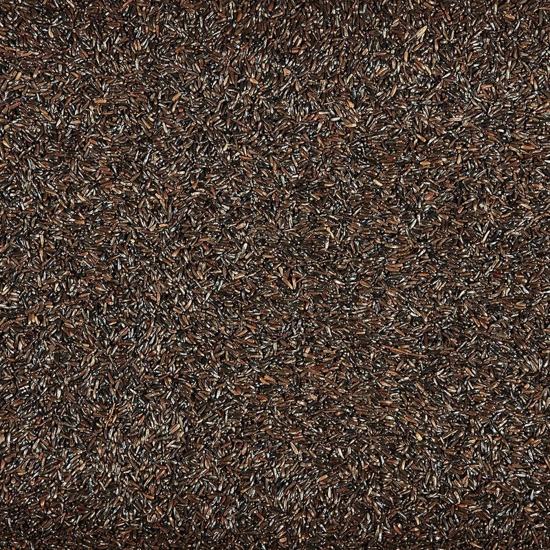 Kaytee Nyjer Wild Bird Food Seed, 3 Pound - Image 4