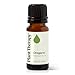 Plant Therapy Oregano Essential Oil 10 mL 13 oz 100 Pure Undiluted Natural Aromatherapy for Gut Health and Immune Support - Image 1
