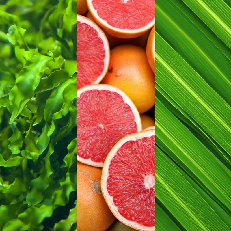 Mario Badescu Alpha Grapefruit Cleansing Lotion, 8 Fl Oz - Image 2