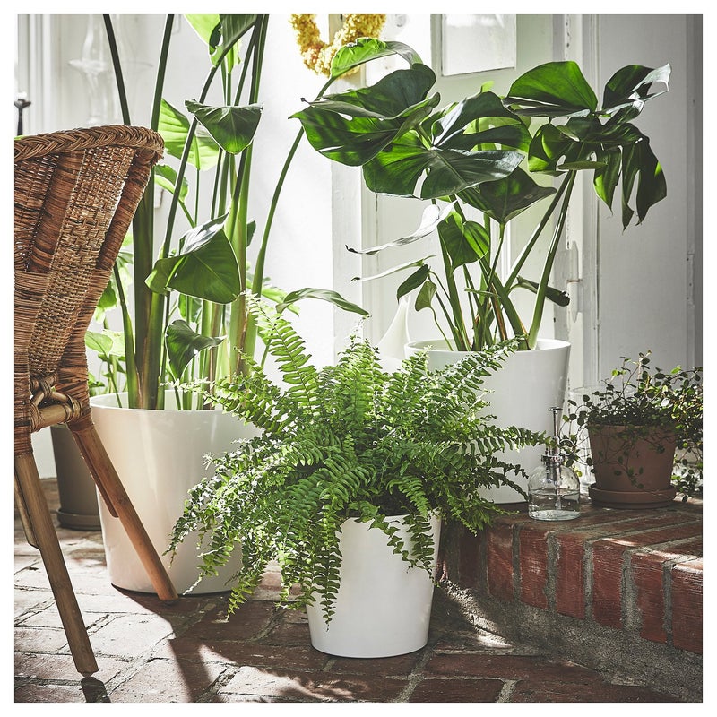 Baitique Plant Pot, White Earthenware, 24 cm, Indoor - Image 2