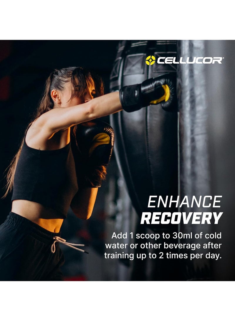 سيلوكور كور-أداء كرياتين مونوهيدرات لزيادة القوة، 306 جرام، 90 حصة - Image 4