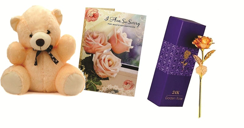 Skylofts 7inch Teddy Bear with Sorry Card & 24k Gold Rose Forgive Me Gift - Image 1